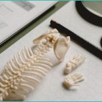 ced regulatory digest since last digest 1 items