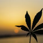 In the Mix: 6 More Articles — March 16, 2026