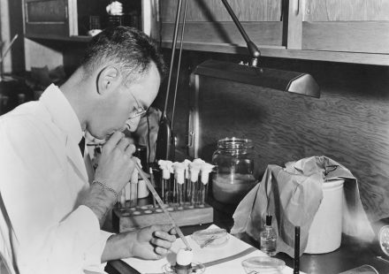 endocannabinoid system clinical research athletes mental health