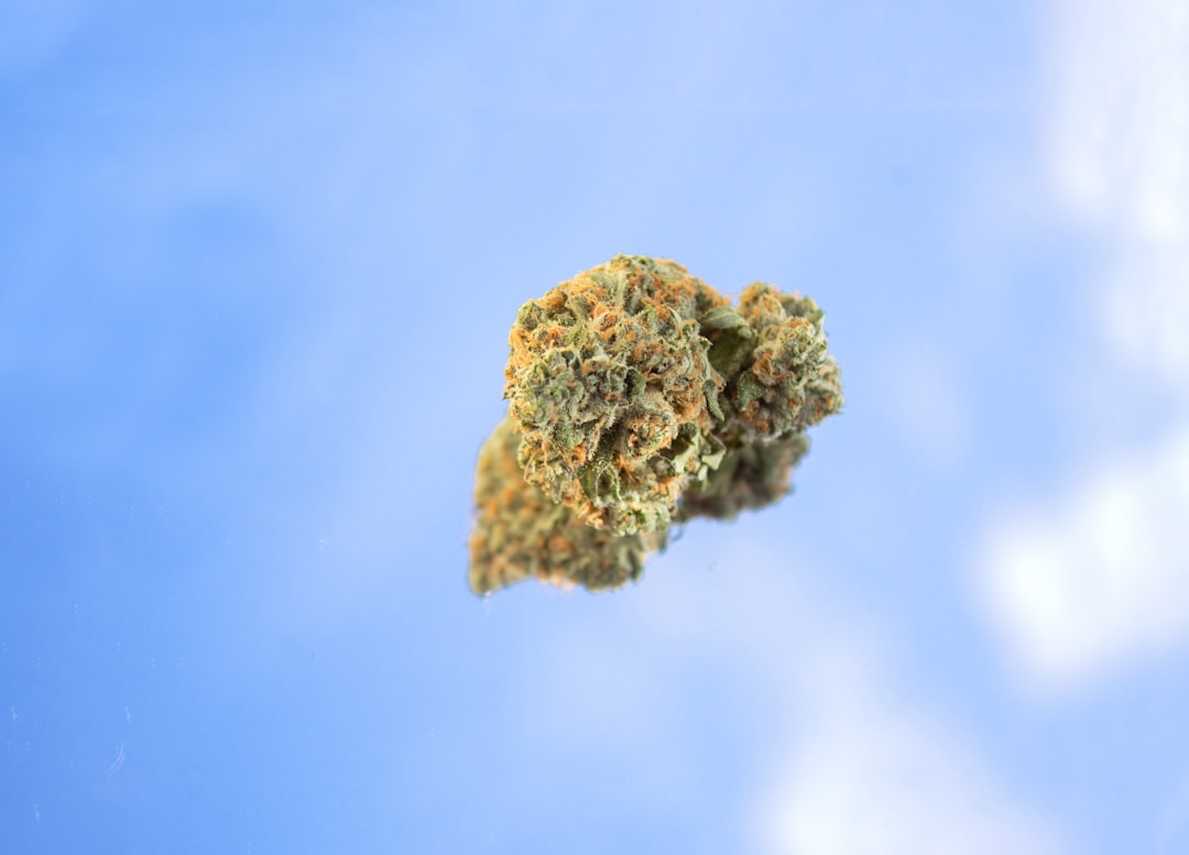 Alabama Medical Cannabis Sales Gear for Spring 2026 Launch