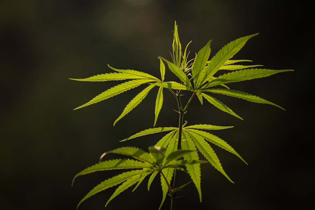 In the Mix: 6 More Articles — March 16, 2026