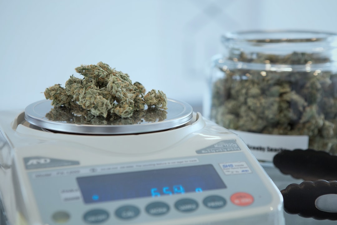 The Florida Cannabis Debate Will Still Be Around