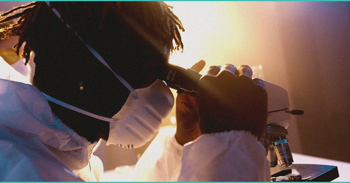 compounds found in cannabis reduced liver fat in n 1