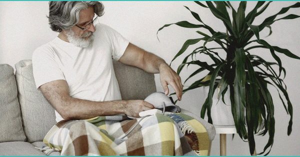 Connecticut could permit stronger cannabis products, add ‘high-potency’ label – CT Insider