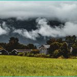 czech republic decides to ban hhc possession to 1