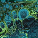 daily digest 2026 03 05