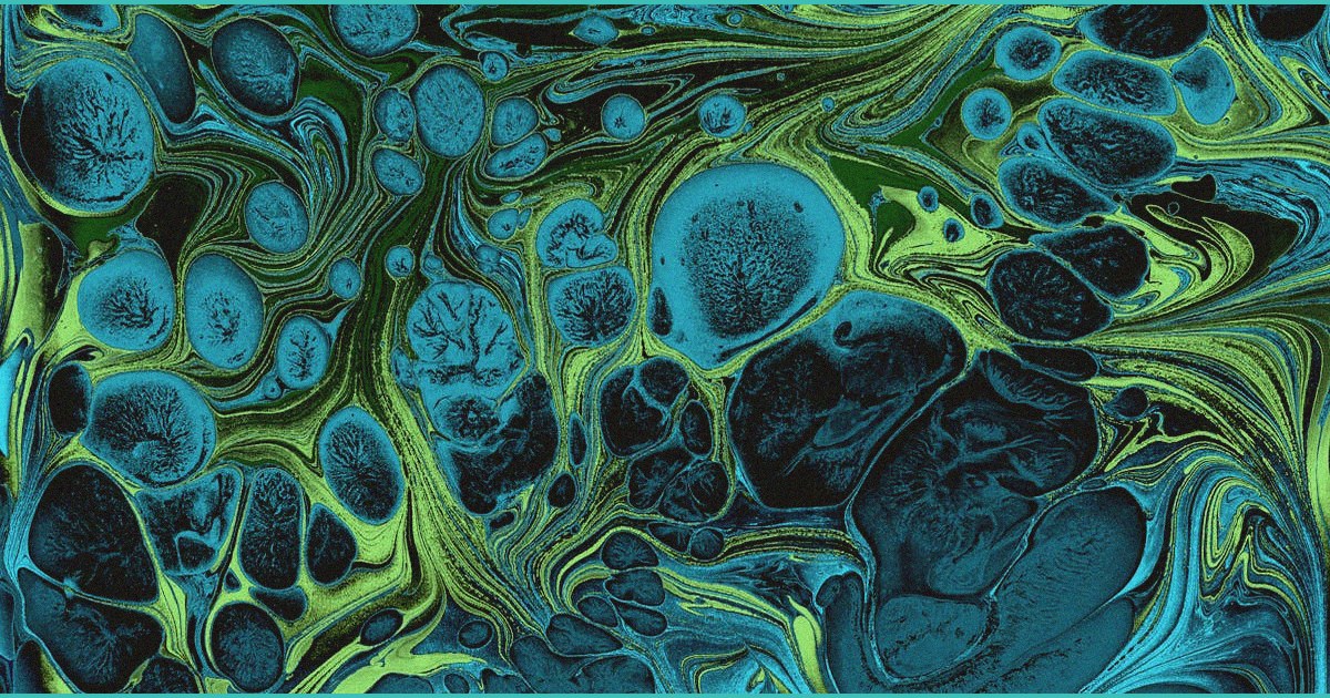 daily digest 2026 03 05