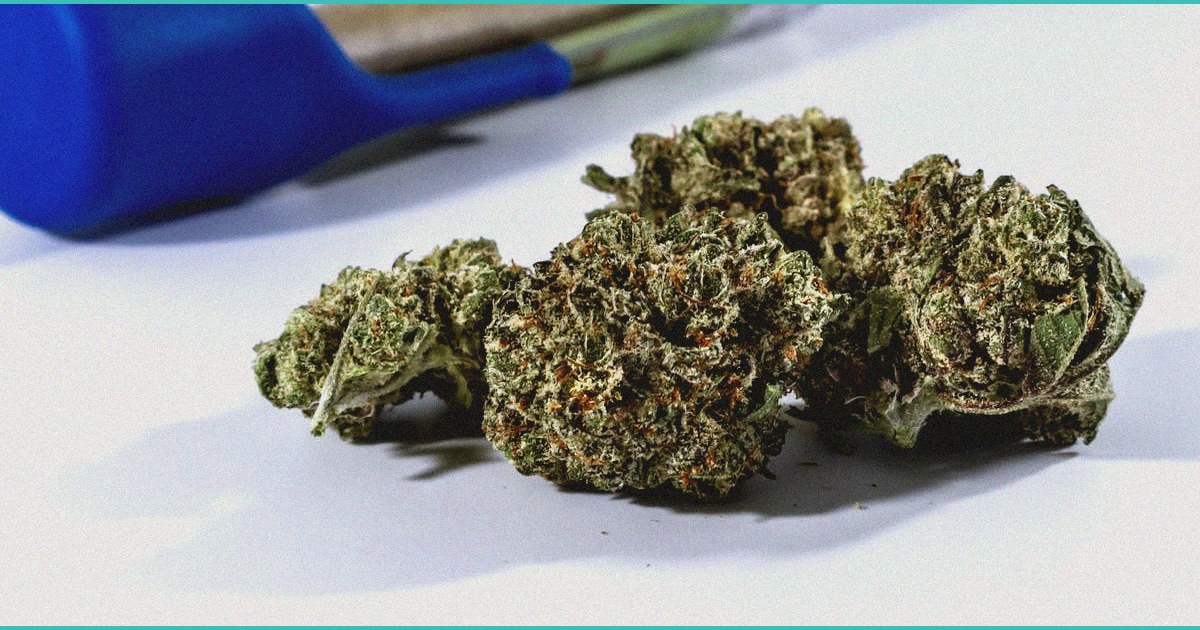 daily digest 2026 03 07 1