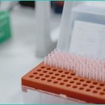 daily digest last 24 hours cannabinoids and live 1