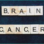 daily digest last 24 hours cognitive safety in o