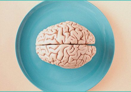 daily digest last 9 hours cognitive safety signa 1