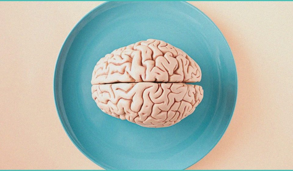 daily digest last 9 hours cognitive safety signa 1