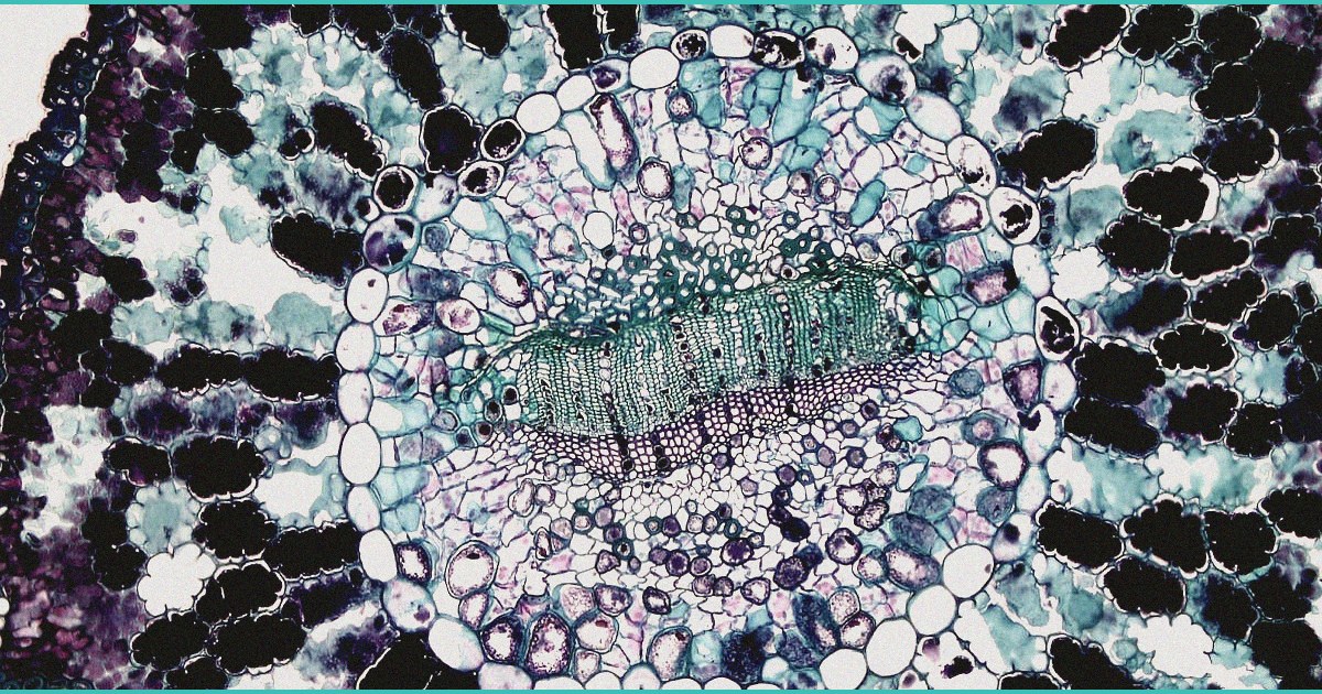 dea admits teen cannabis use has drastically decre 1