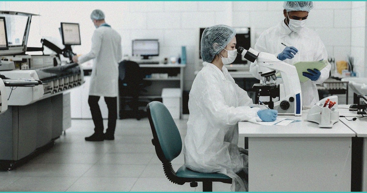 endocannabinoid system amp adolescent eating di