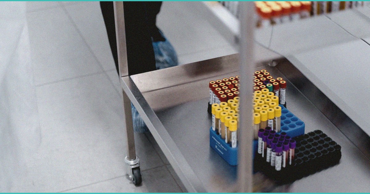 endocannabinoid system amp adolescent weight re