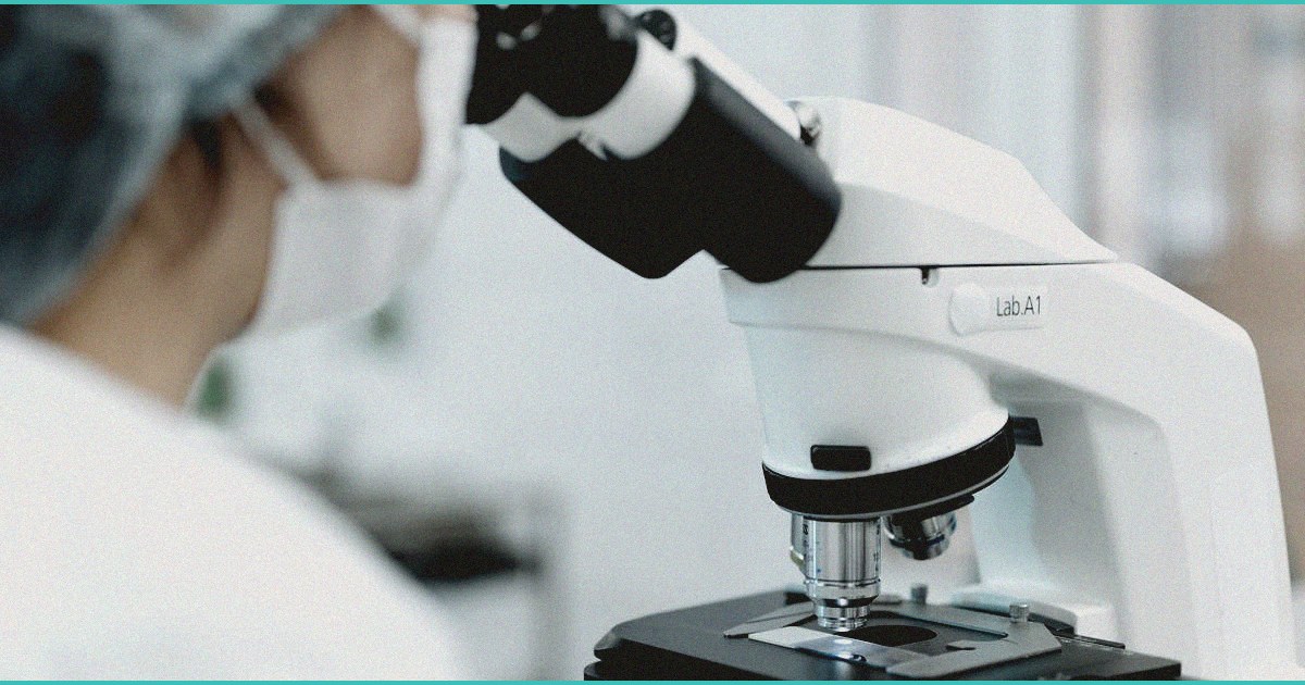 endocannabinoid system amp athlete mental health 1