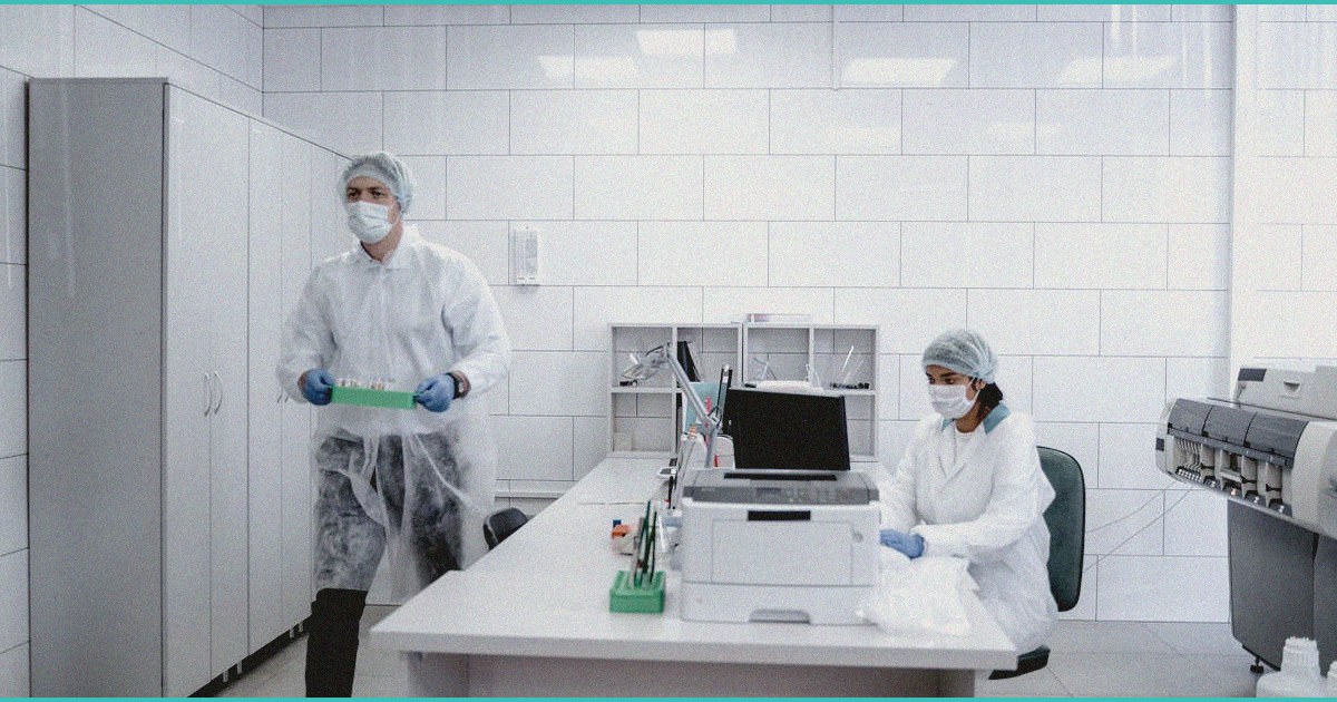 endocannabinoid system cannabis amp maternal cy