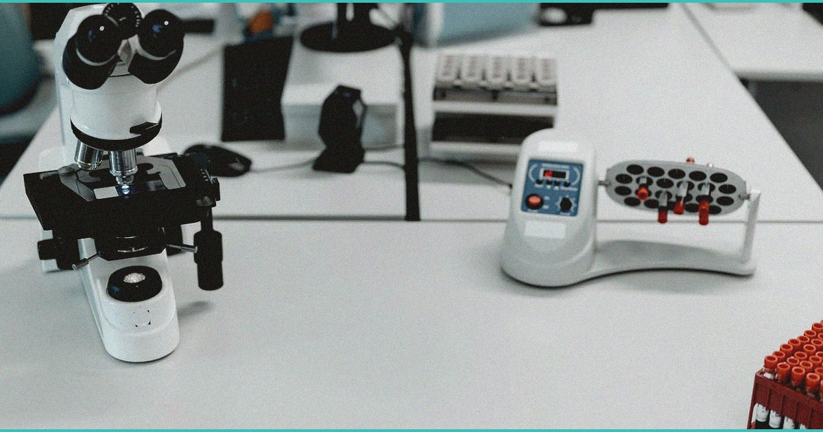 endocannabinoid system cannabis for chronic bac 3