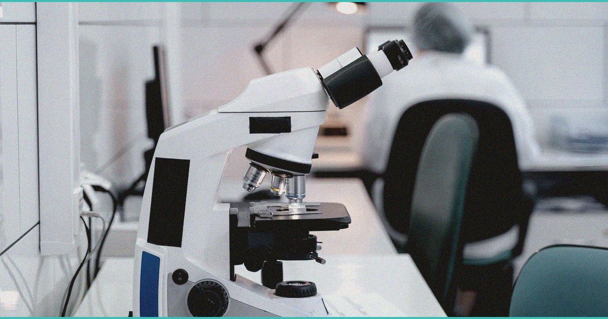 endocannabinoid system clinical research cannabis