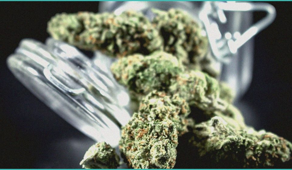 endocannabinoid system clinical research eating 1