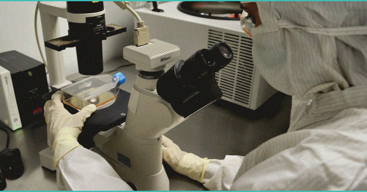 endocannabinoid system clinical research mobile m 10