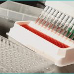endocannabinoid system clinical research trauma