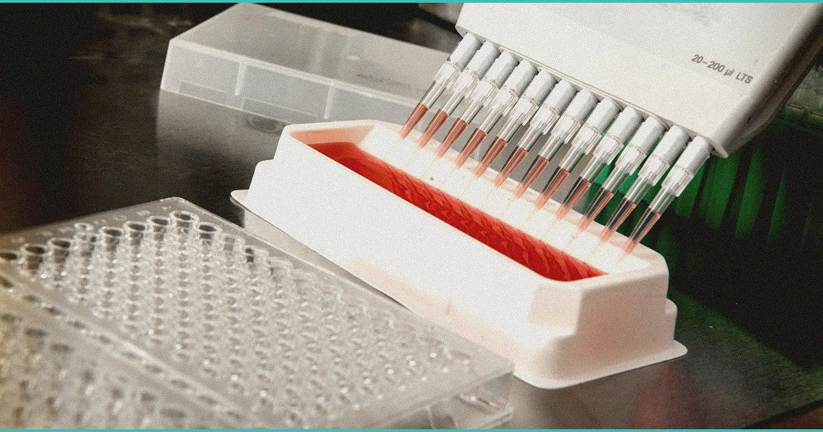 endocannabinoid system clinical research trauma