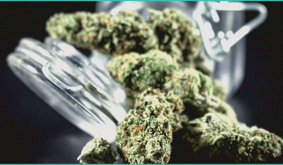 endocannabinoid system research cannabis for auti 1