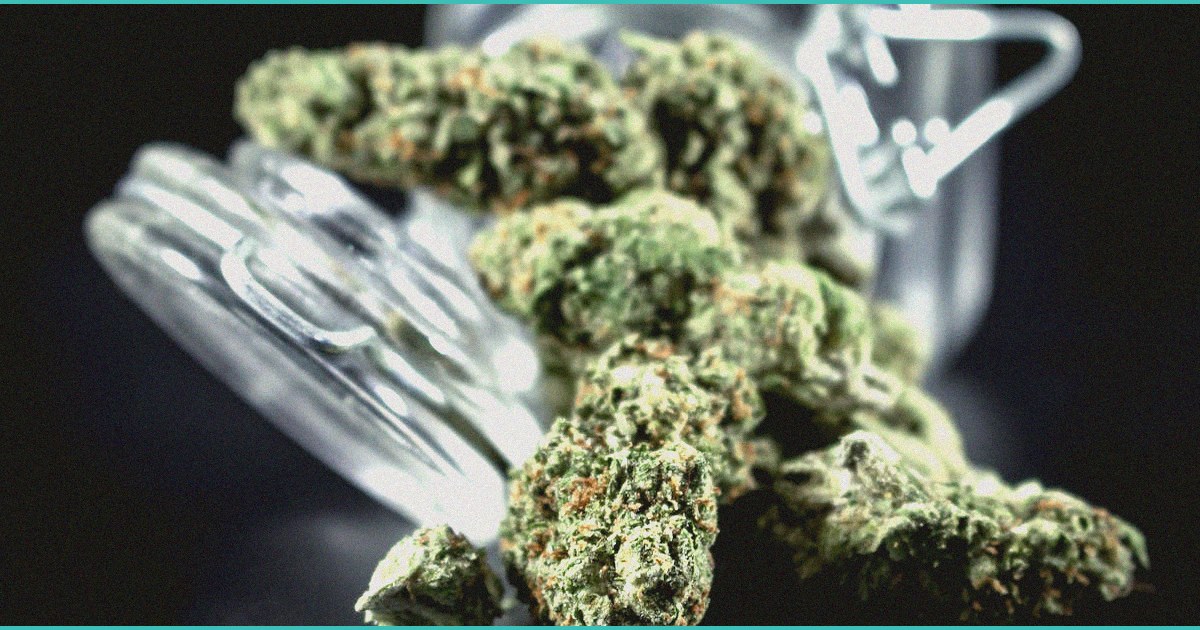 endocannabinoid system research cannabis for auti 1