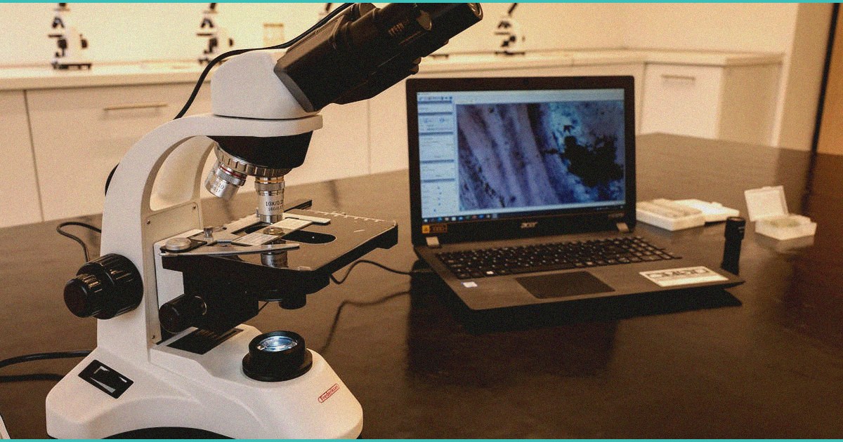 endocannabinoid system research cannabis for auti 2