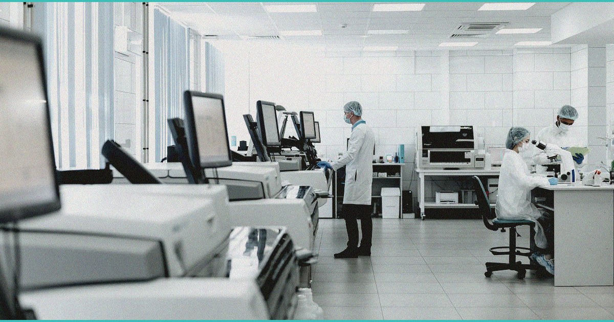 endocannabinoid system research cannabis for chro 10