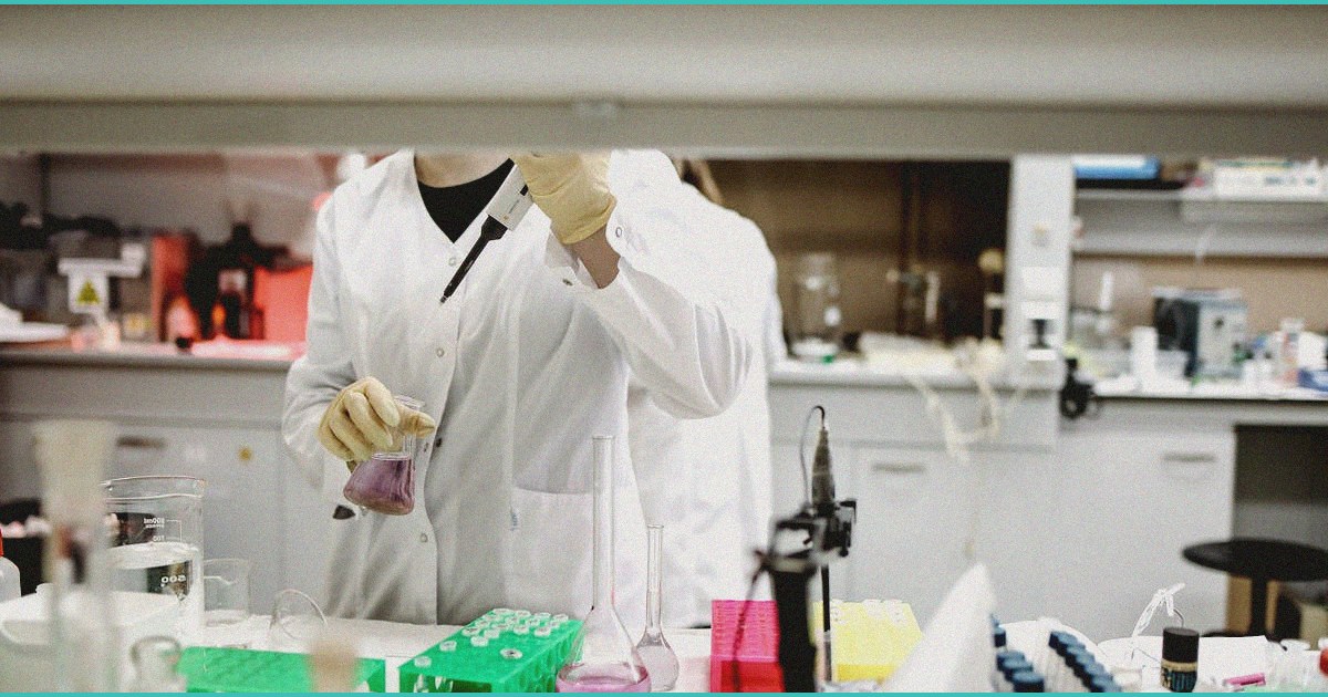 endocannabinoid system research cannabis use in p 6