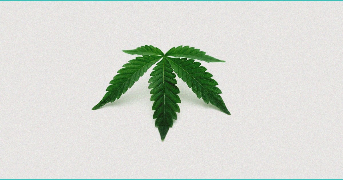 from billion dollar hemp drinks to fda cease and d 1