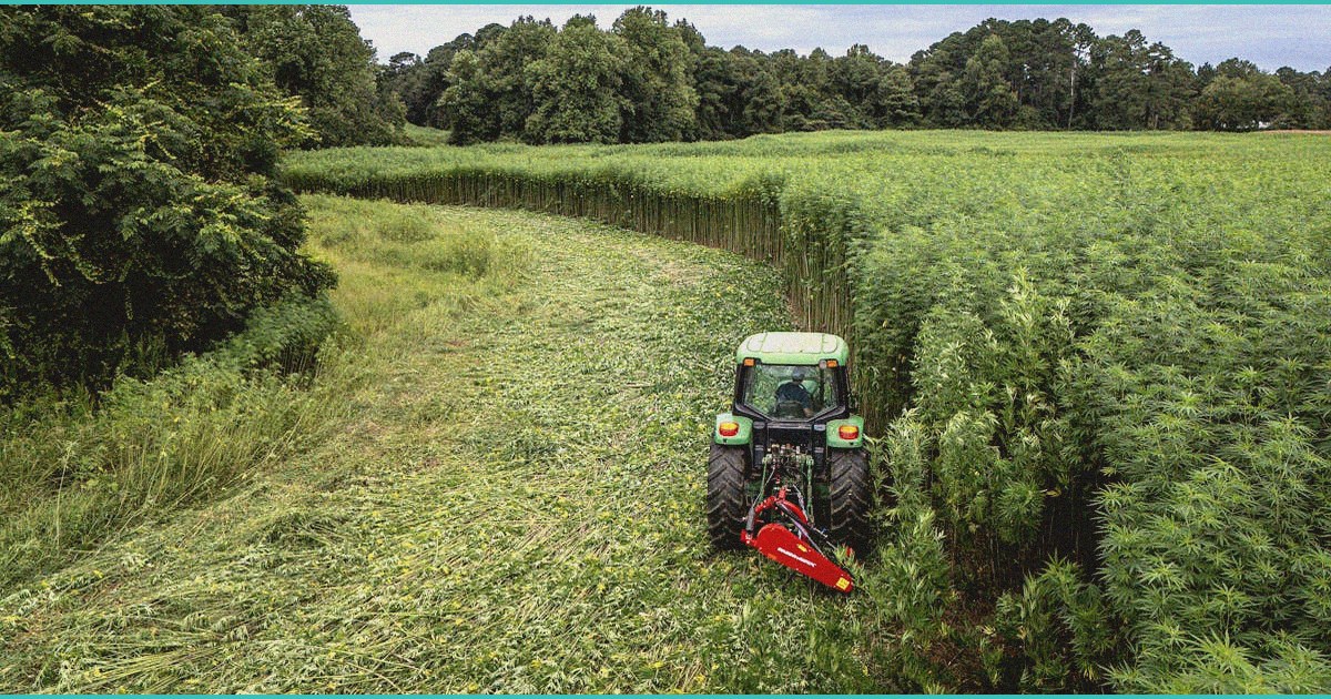 from billion dollar hemp drinks to fda cease and d 2