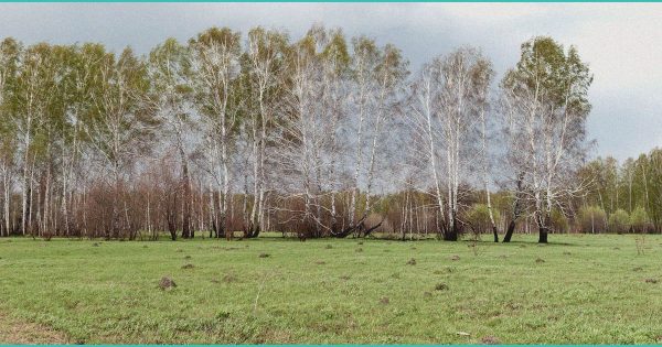 from billion dollar hemp drinks to fda cease and d 3