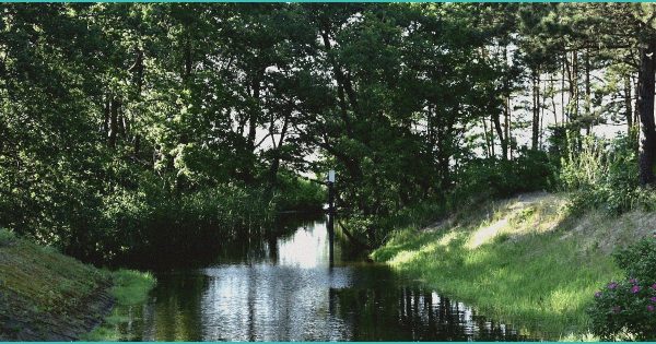 From relationships to cannabis neuroscience: WWU’s podcast covers it – The Western Front