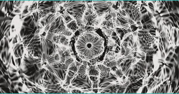 Genes tied to impulse control play a major role in addiction risk | EurekAlert!