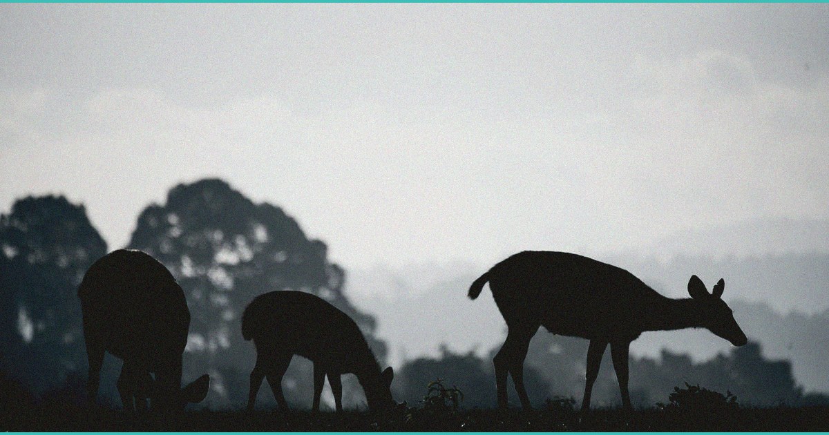 glp 1s a viable option to treat prevent suds m