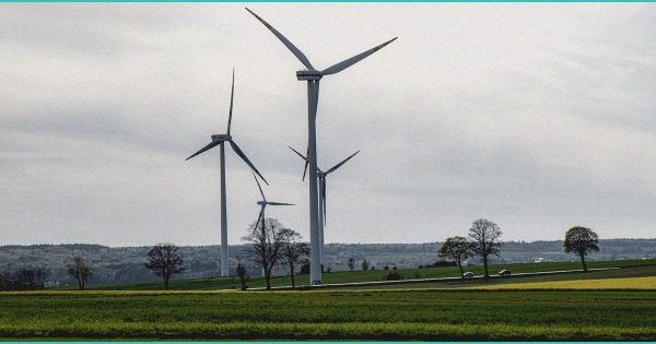 CED Clinic: Personalized Cannabis Medicine 255 GLP-1s show promise in treating addiction – MSN