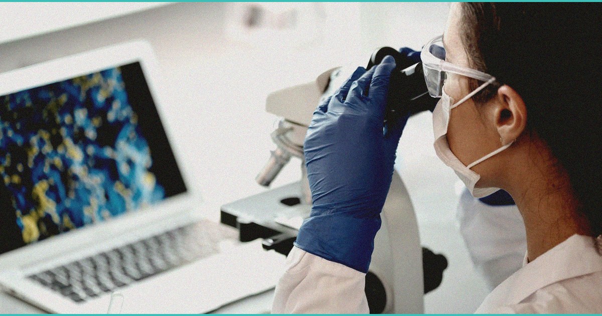 green revolution the rise of cannabis in modern s