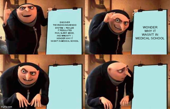 Gru's Plan