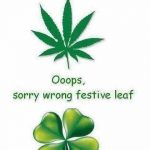 Happy Green Day!
