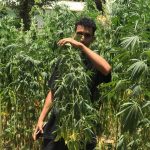 Hello everyone, greetings from Morocco