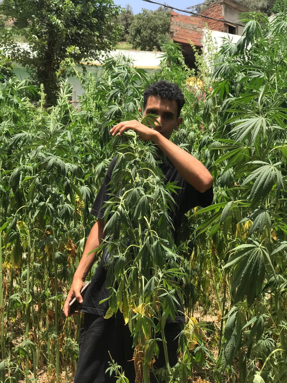 Hello everyone, greetings from Morocco