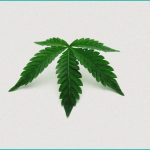 hemp and erectile dysfunction can it help explor