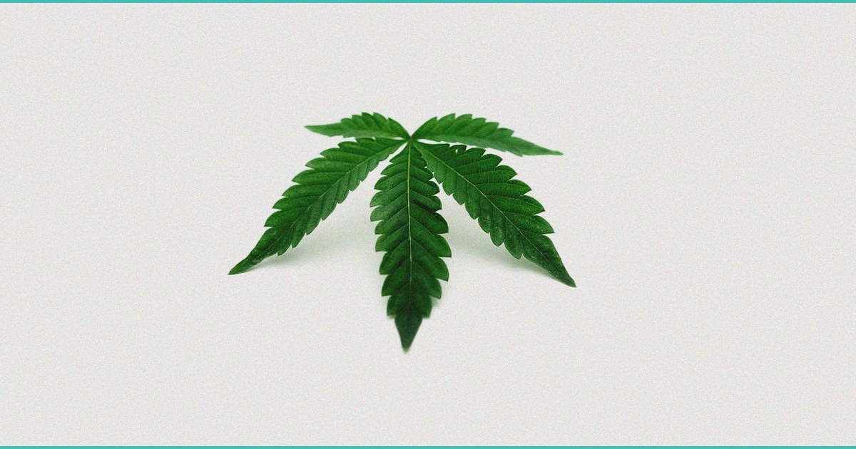 hemp and erectile dysfunction can it help