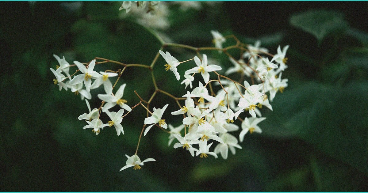 in the mix 11 more articles february 26 2026 2