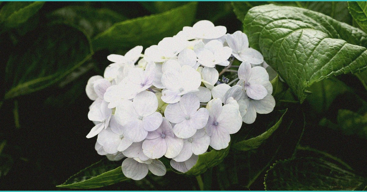 in the mix 5 more articles march 13 2026 1