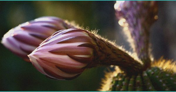 In the Mix: 6 More Articles — March 13, 2026