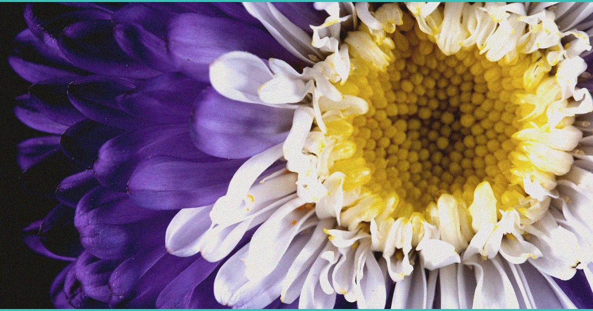 inconsistent labeling and high doses found in delt